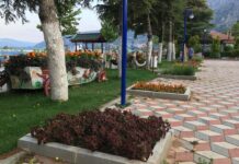 İbrahim Paşa Sarayı ve Kitapların Gelişimi