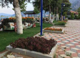 İbrahim Paşa Sarayı ve Kitapların Gelişimi